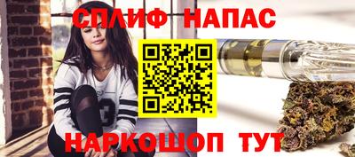 МДПВ Нарткала