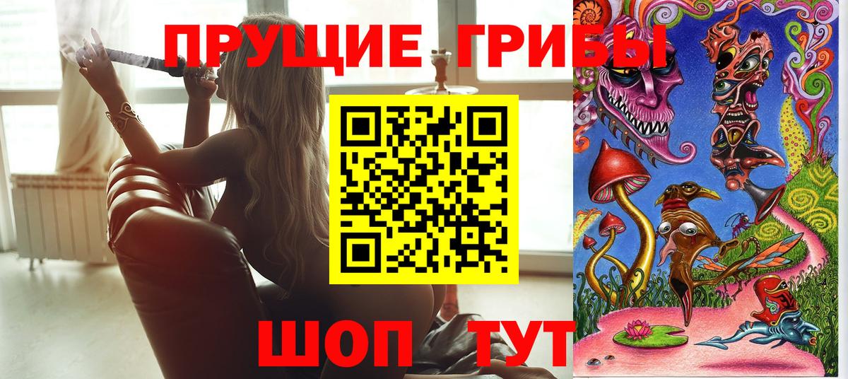 Тимашёвск  Псилоцибиновые грибы мицелий  Вход с VPN  Галлюциногенные грибы Psilocybe 